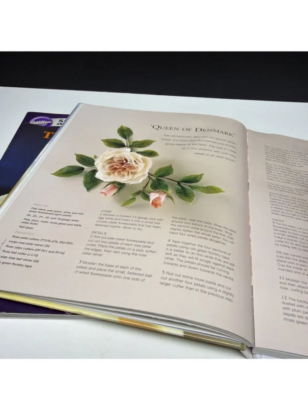Lot of 3 Cake Decorating Books - Sugar Roses, Wilton Yearbook, Novelty Cakes